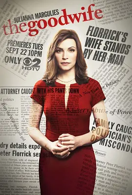 傲骨贤妻 第四季 The Good Wife Season 4